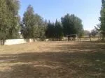 Valdeprados promueve la actividad física con gimnasia en la calle y parques renovados