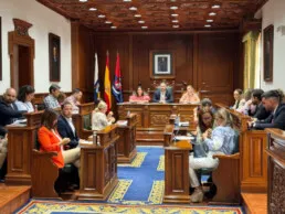 Telde reafirma su compromiso contra la violencia de género en el Pleno