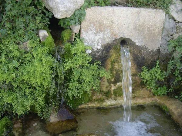 Tàrbena promociona su patrimonio natural con nuevas rutas de senderismo