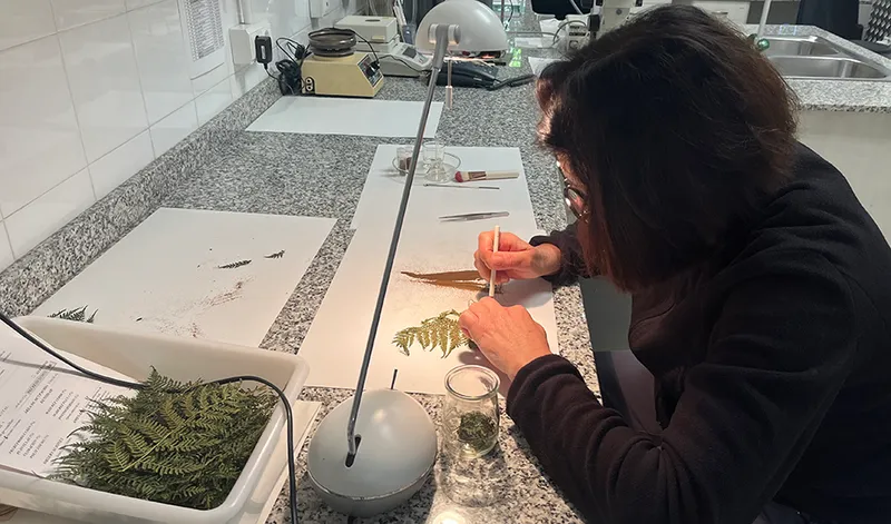 La Junta de Andalucía destina 840.000 euros a la conservación de la flora silvestre andaluza