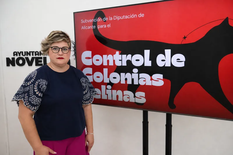 Novelda asegura el control de colonias felinas con una nueva subvención provincial