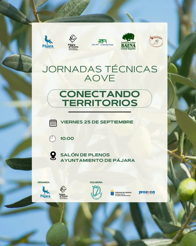 Pájara acoge jornadas técnicas sobre aceite de oliva virgen extra con participación canaria y andaluza