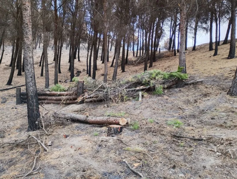 Comienzan los trabajos de estabilización del terreno afectado por el incendio en Íscar