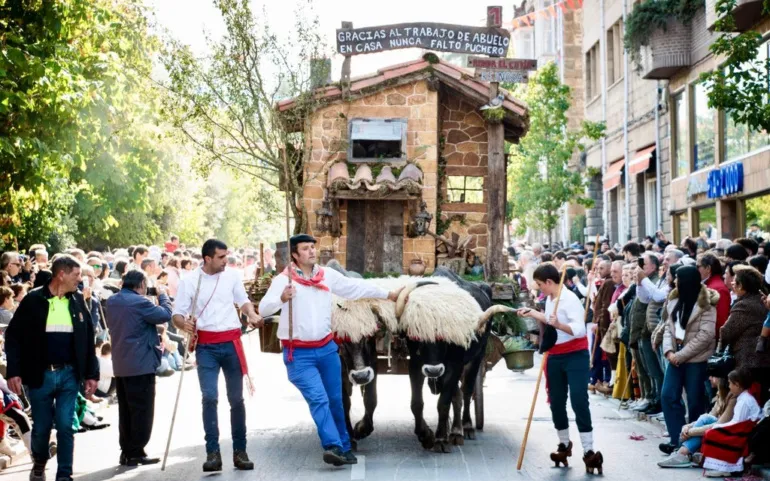 Reinosa adapta el Día de Campoo por la Dermatosis Nodular: desfile y concurso de carretas sin ganado