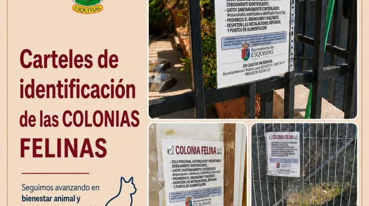 Esquivias informa sobre el programa de detección precoz de cáncer de mama