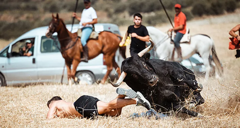 Álvaro Marín Silvestre gana el 18º Concurso de Fotografía Taurina ToroAlcarria en Trillo