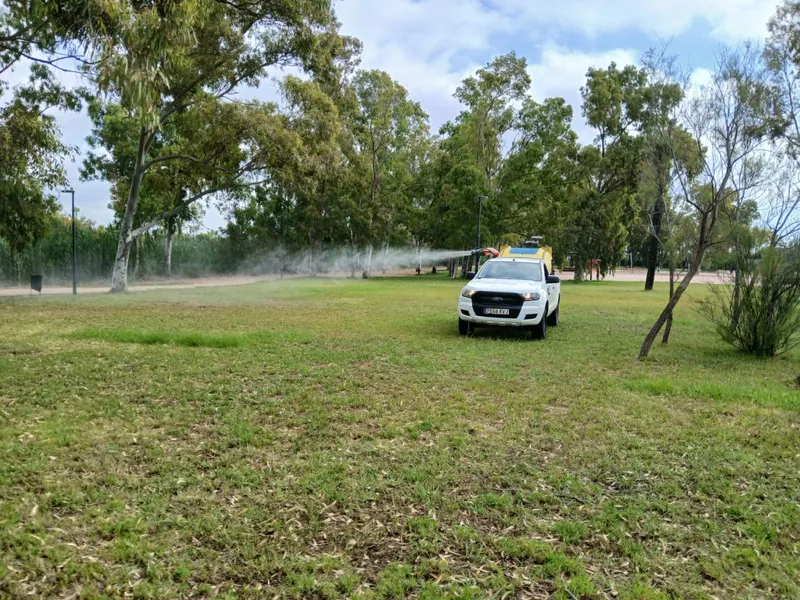 Diputación de Castellón intensifica el control de mosquitos en marjales tras las lluvias