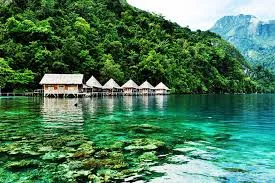 Explora la riqueza natural de Indonesia: un viaje a la conservación de especies únicas