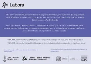 Millena impulsa el empleo con los programas EXPLUX y EMERGE para 2025