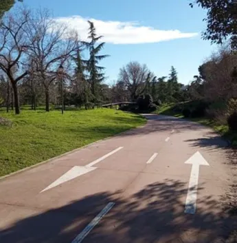 Ruta ciclista familiar en el Parque de Pradolongo para descubrir la naturaleza