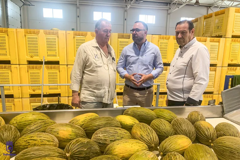 El alcalde de Tomelloso visita Hortiman para conocer la campaña de melón y sandía