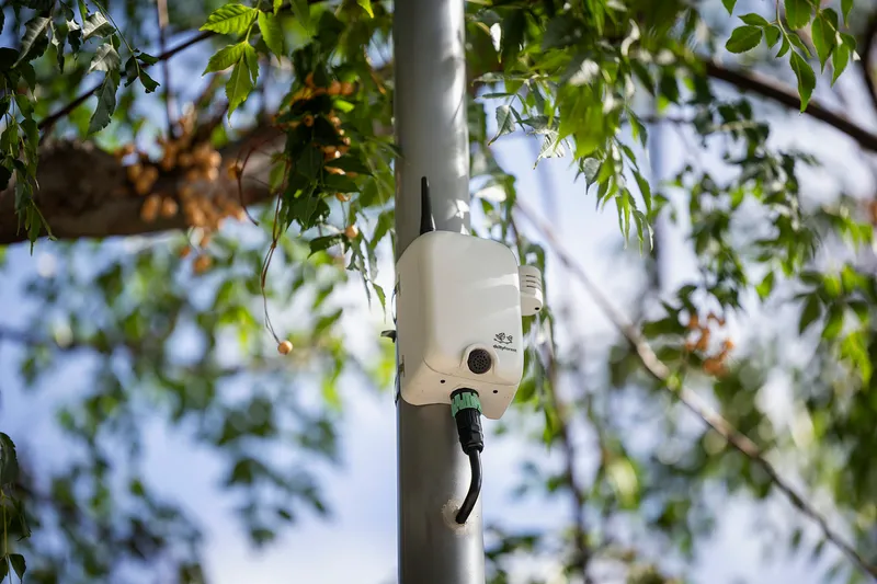 Madrid estrena sensores con IA para monitorizar aves y murciélagos en Madrid Río y Valdebebas