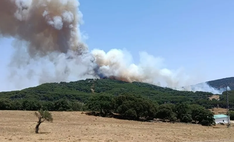 El Plan Infoca se eleva a fase de emergencia por un incendio en Grazalema