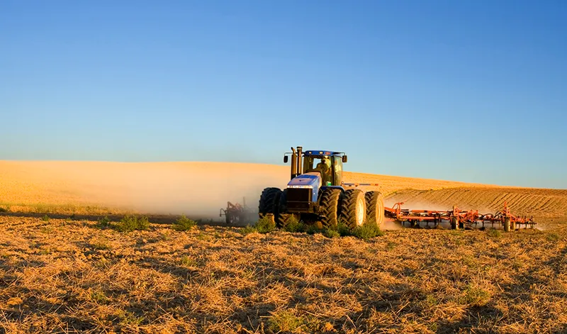 Andalucía destina 16,6 millones de euros a seguros agrarios para proteger las explotaciones