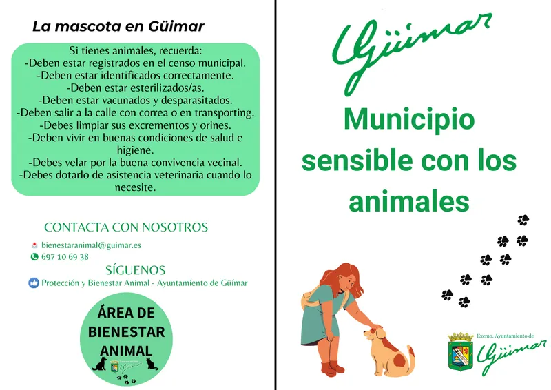 Güímar impulsa la gestión de colonias felinas urbanas con nuevas guías y protocolos