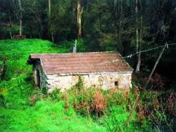 Mos recupera la memoria de sus molinos y molineros