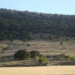 Tajahuerce: Un rincón soriano entre sierras y naturaleza virgen