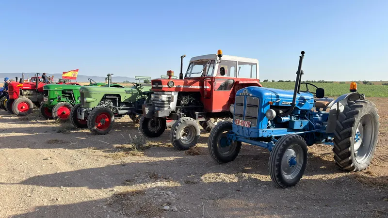 Daimiel celebra el Día del Agricultor recuperando la historia del panizo y reconociendo a Dolores Ruiz de la Hermosa