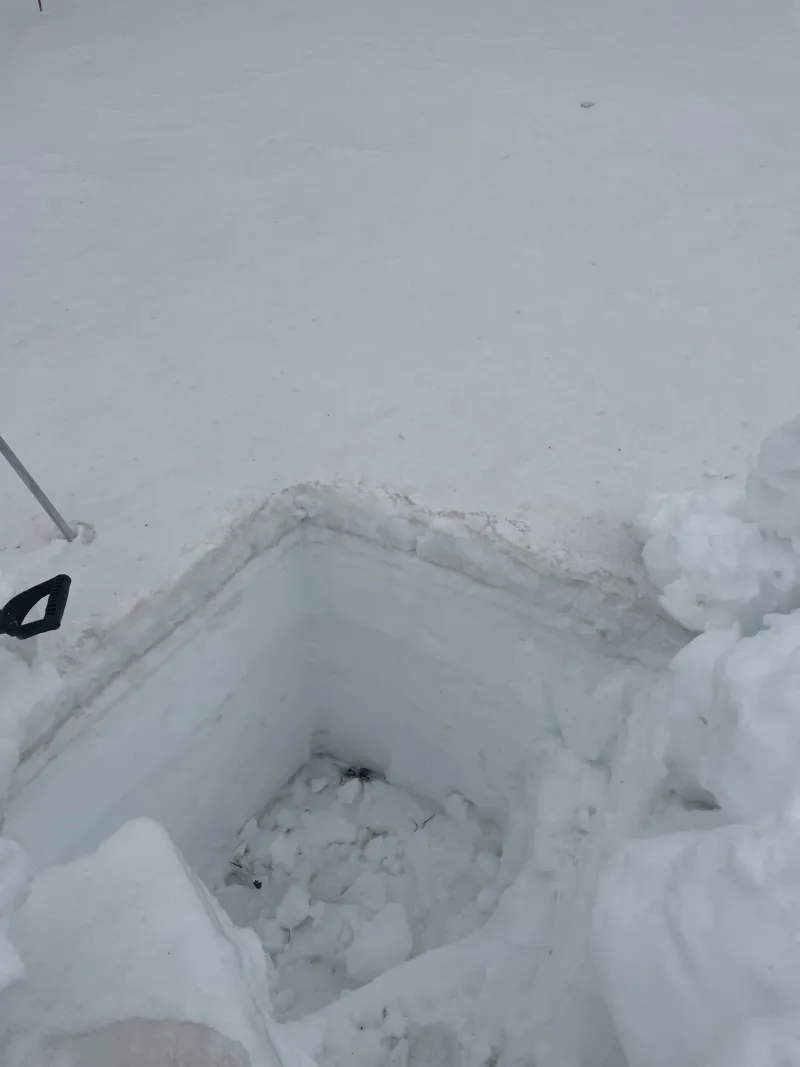 Las lluvias de mayo ralentizan el deshielo y la exposición del polvo en la nieve de Colorado