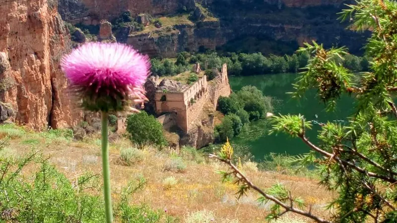 Descubre la ruta al Monasterio de la Hoz desde Sebúlcor: un viaje de 13 km