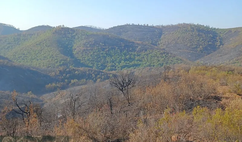 El incendio de Niebla no avanza y se trabaja en consolidar el perímetro