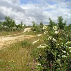 Valdemaluque: un municipio soriano que combina tradición agrícola y riqueza natural
