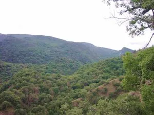 La Sierra de Lokiz, un macizo kárstico de gran riqueza natural y botánica