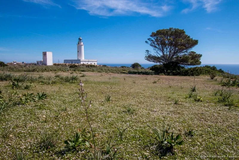 Formentera ofrece más de 30 rutas para explorar la isla a pie o en bicicleta