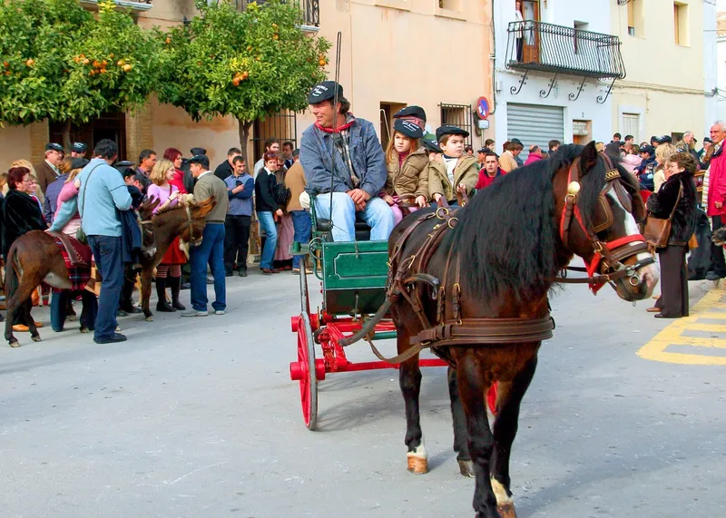 Benissa celebra la Fira i Porrat de Sant Antoni con un extenso programa de actividades