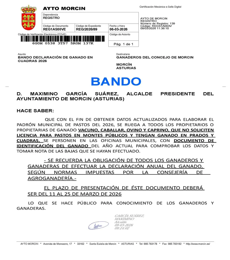Morcín inicia el plazo para declarar el ganado en prados y cuadras para 2026