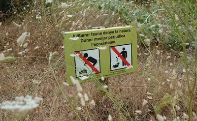 Causas naturales explican la mort de peixos a l'Olla del Rei de Castelldefels