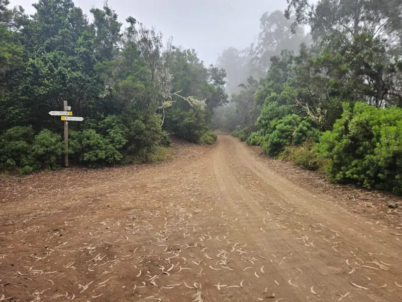 Finalizan las obras de conservación en la pista Solís del Parque Rural de Anaga