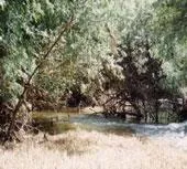 Mendavia: Un mosaico natural entre el Ebro y la estepa continental