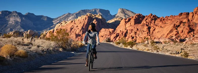 Madrid celebra el Día Mundial de la Bicicleta promoviendo su uso sostenible