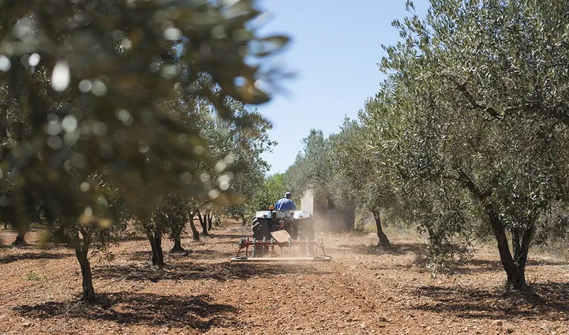 Trágico accidente de tractor en Fiñana (Almería) se cobra la vida de un hombre de 71 años