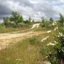 Valdeavellano de Ucero: un pueblo soriano con encanto medieval y espíritu asociativo