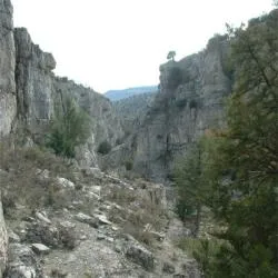 Borobia: Un retrato de la España rural entre montañas, fauna y recursos naturales