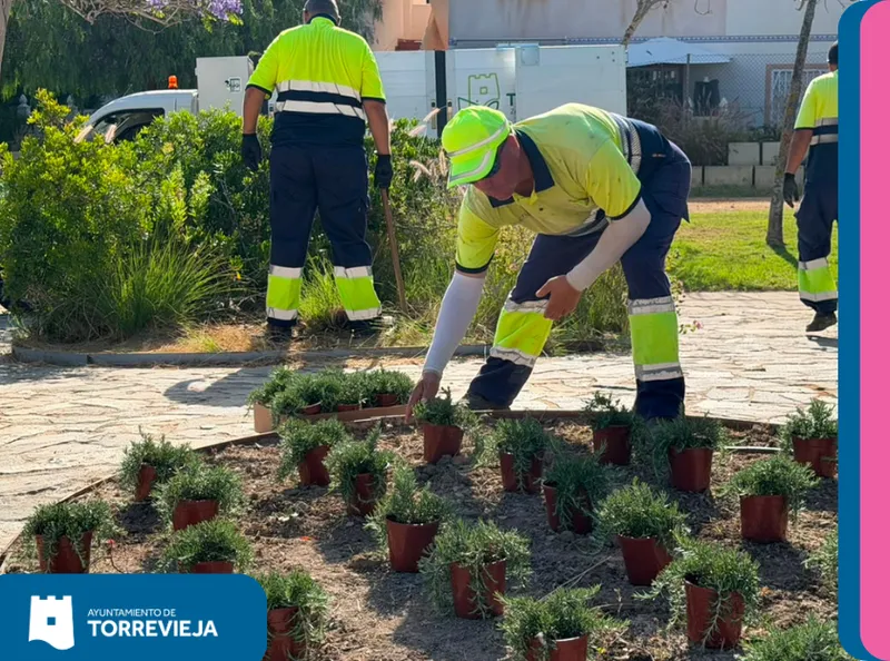 Torrevieja renueva su Parque Aromático con especies mediterráneas y mejora del riego