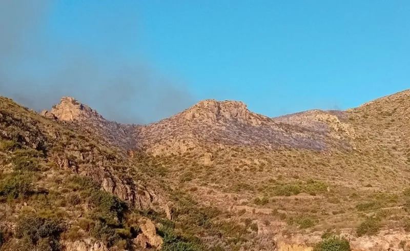 Once fallecidos y miles de desalojados por incendios forestales en Almería y Málaga