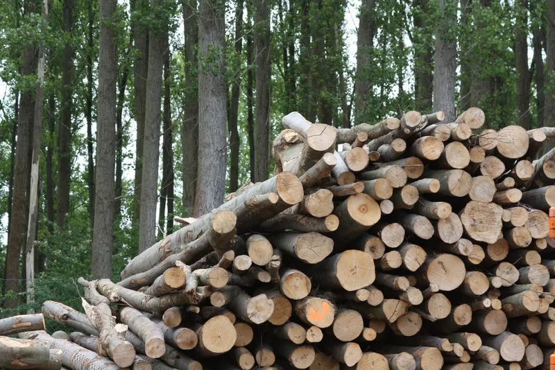 Diputación de Tarragona abre plazo para ayudas contra incendios forestales