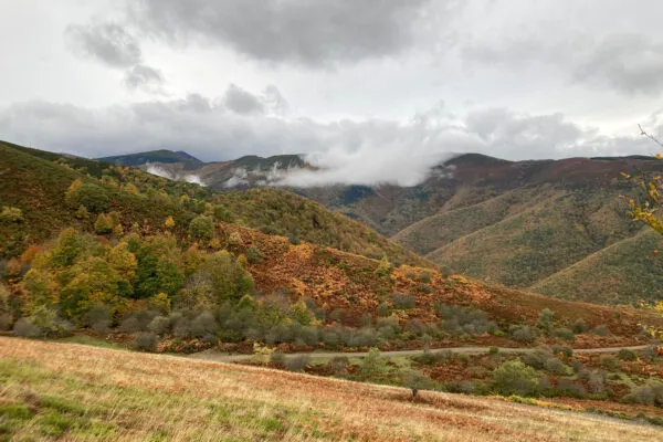 La 6ª Marcha de Otoño por los Montes de Tobía reúne a senderistas en un día soleado