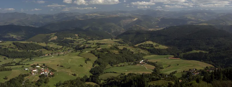 Tineo aprueba la ordenanza de uso de locales municipales y amplía plazo para declaraciones ganaderas