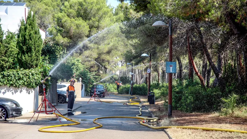 València refuerza la vigilancia de la Devesa ante el riesgo de incendios y la ola de calor