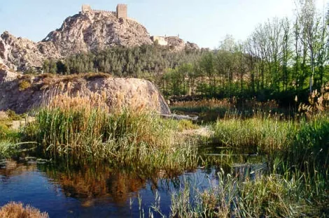 El Castillo de Sax estrena ruta guiada interactiva con códigos QR para adultos y escolares