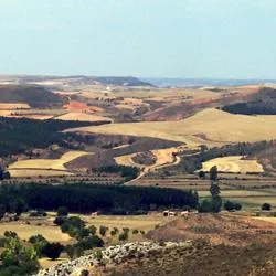 Rutas senderistas por Cihuela: el Camino de Aragón y sus parajes naturales