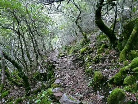 Nuñomoral destaca sus tesoros naturales y culturales