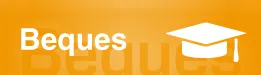 Convocatoria de becas para estudios de posgrado en el Colegio de Europa curso 2026-2027