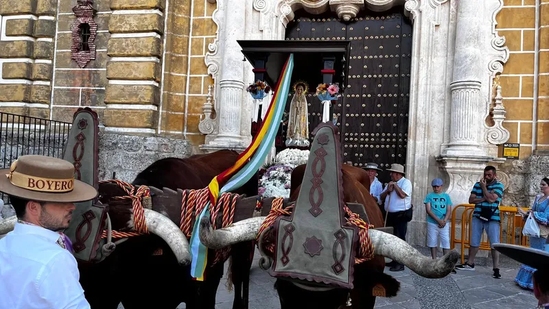 Algodonales celebra su Romería de la Virgencita de la Sierra con gran afluencia