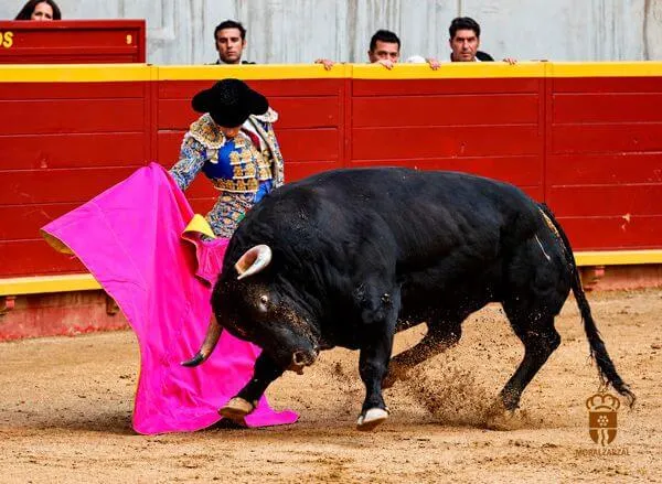El Trofeo Frascuelo de Plata de Moralzarzal queda desierto en su XXX edición