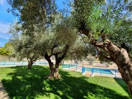 Azara saca a licitación la gestión del bar y las piscinas municipales para el verano